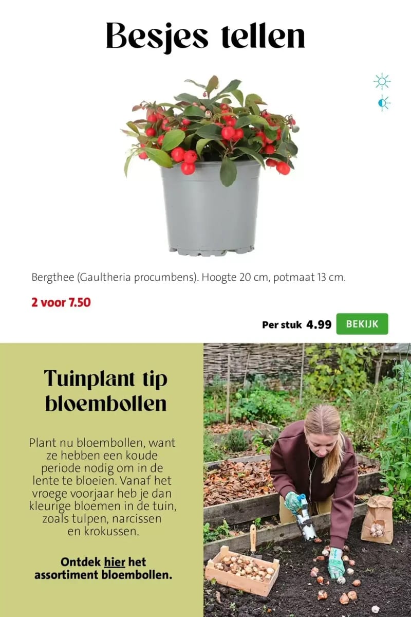 Folder Intratuin, pagina 3 van 13