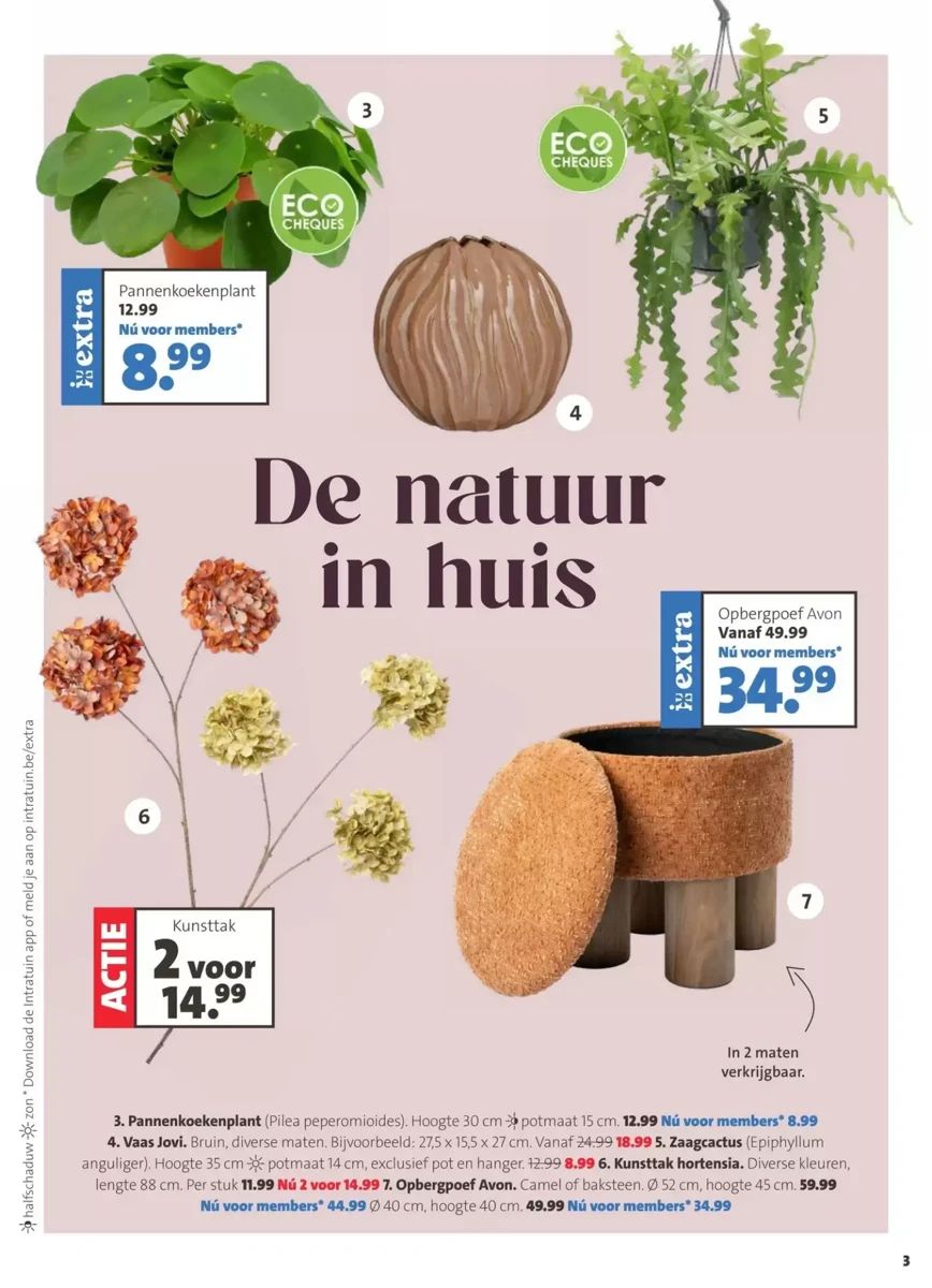 Folder Intratuin, pagina 3 van 12