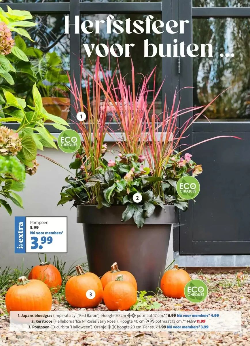 Folder Intratuin, pagina 8 van 12