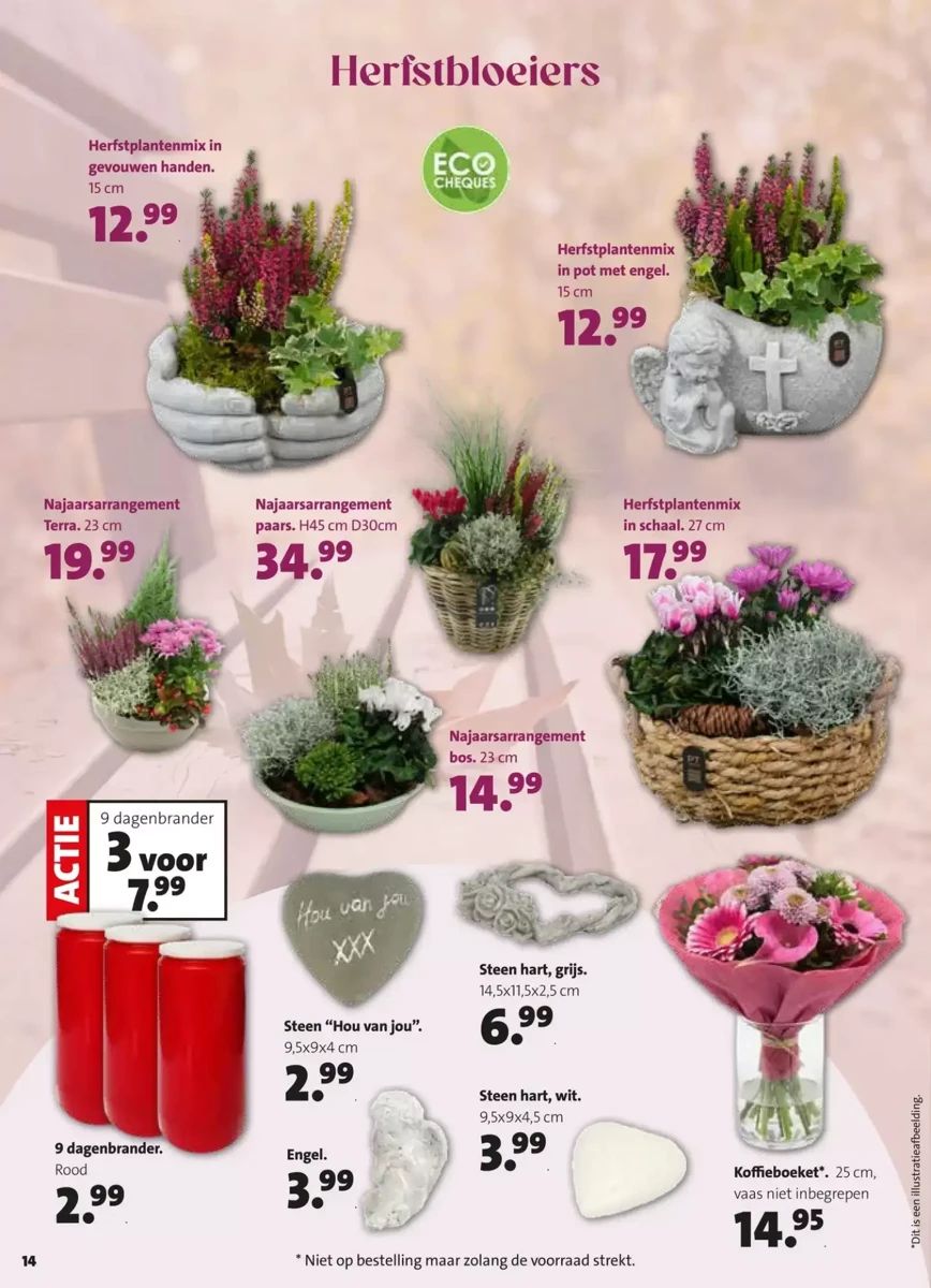 Folder Intratuin, pagina 14 van 16