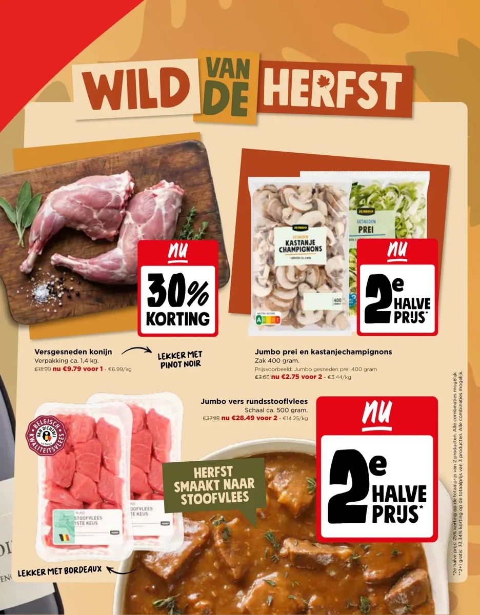 Folder Jumbo, pagina 13 van 20