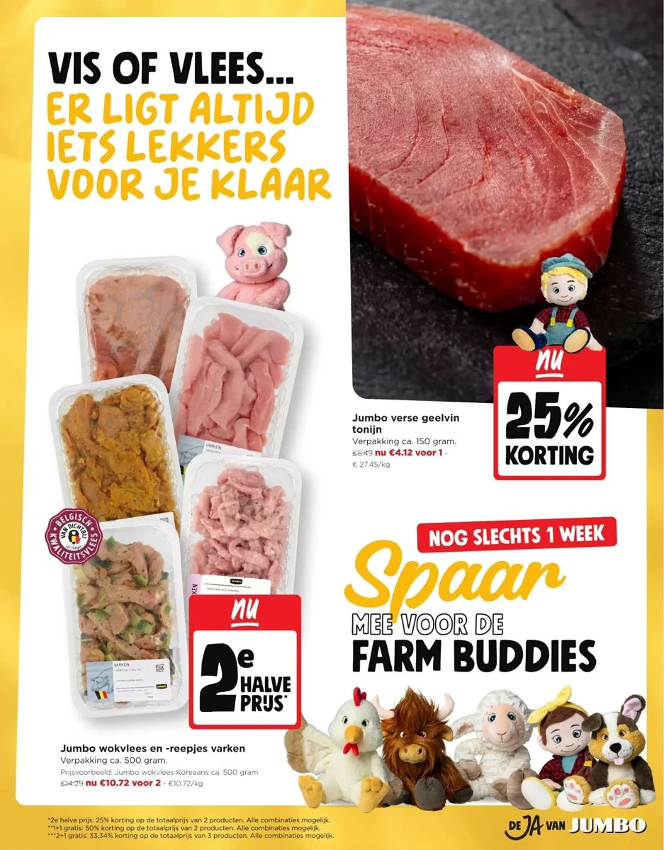 Folder Jumbo, pagina 13 van 20