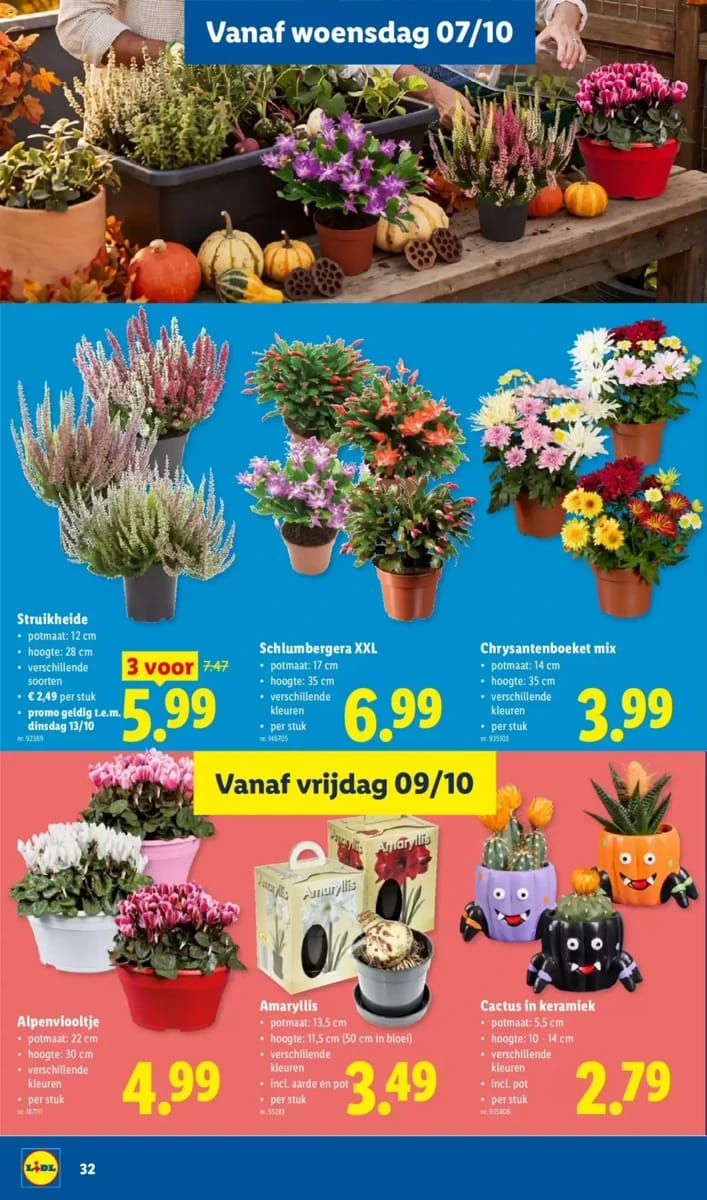 Folder Lidl, pagina 32 van 36