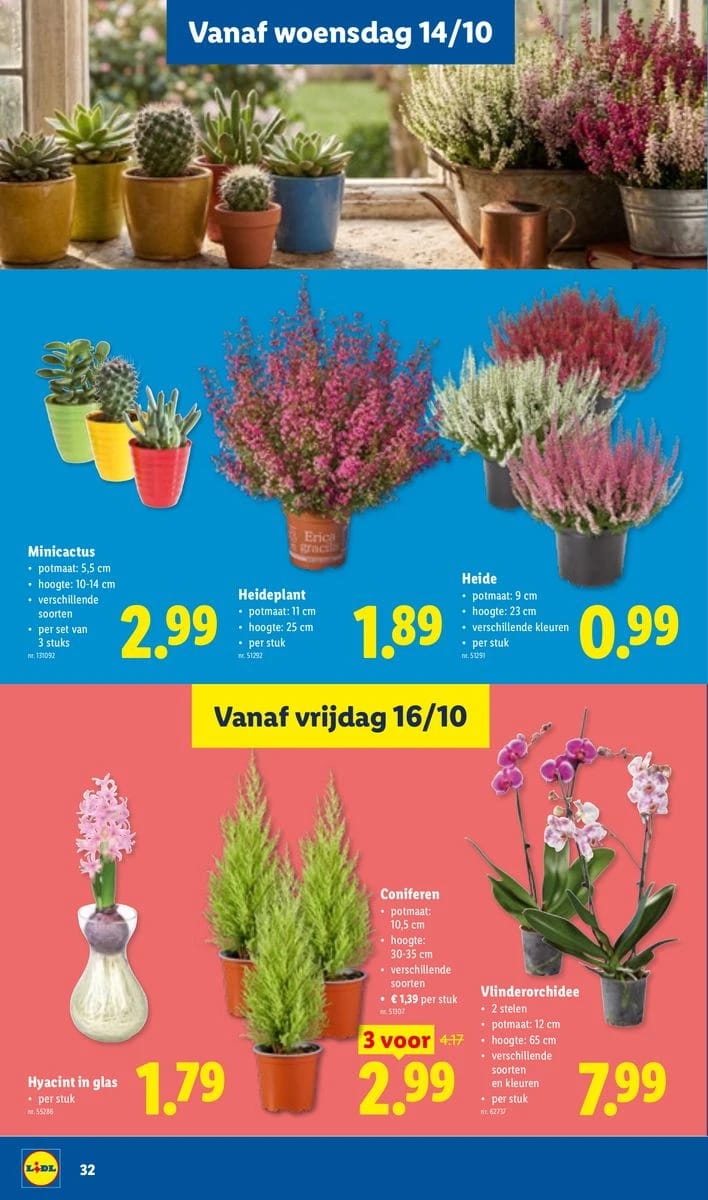 Folder Lidl, pagina 32 van 36
