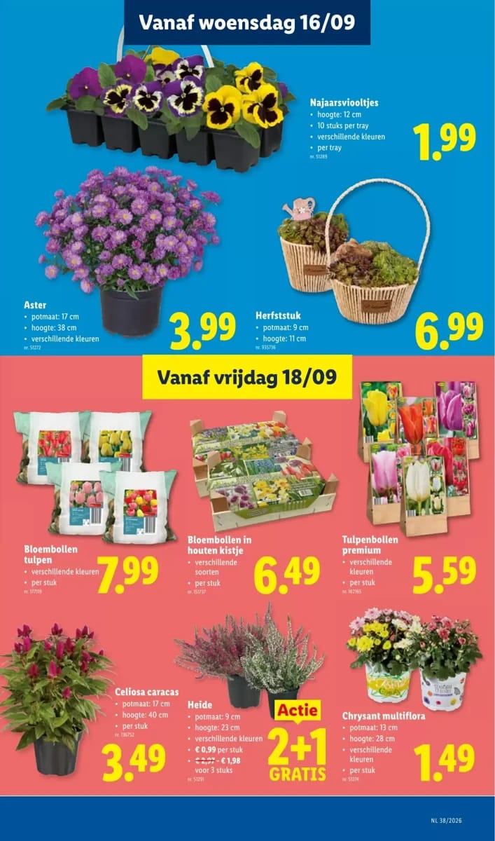 Folder Lidl, pagina 23 van 42