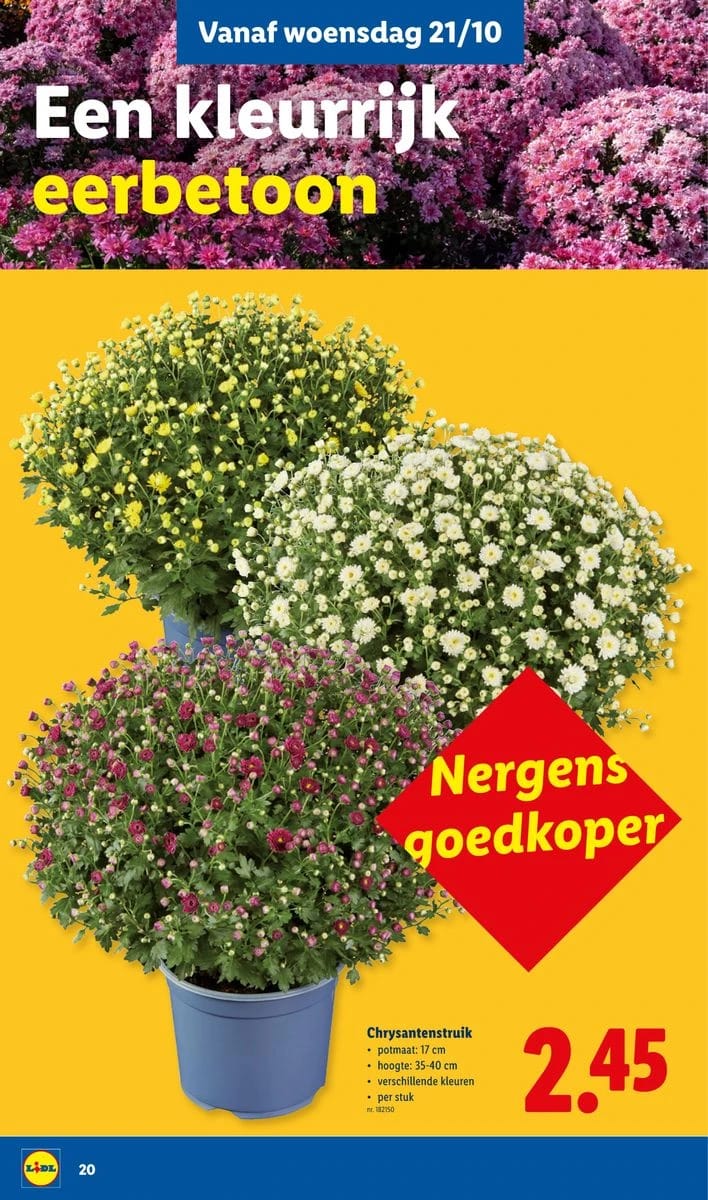Folder Lidl, pagina 20 van 36