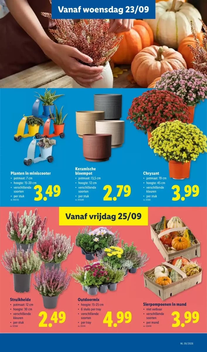 Folder Lidl, pagina 19 van 38