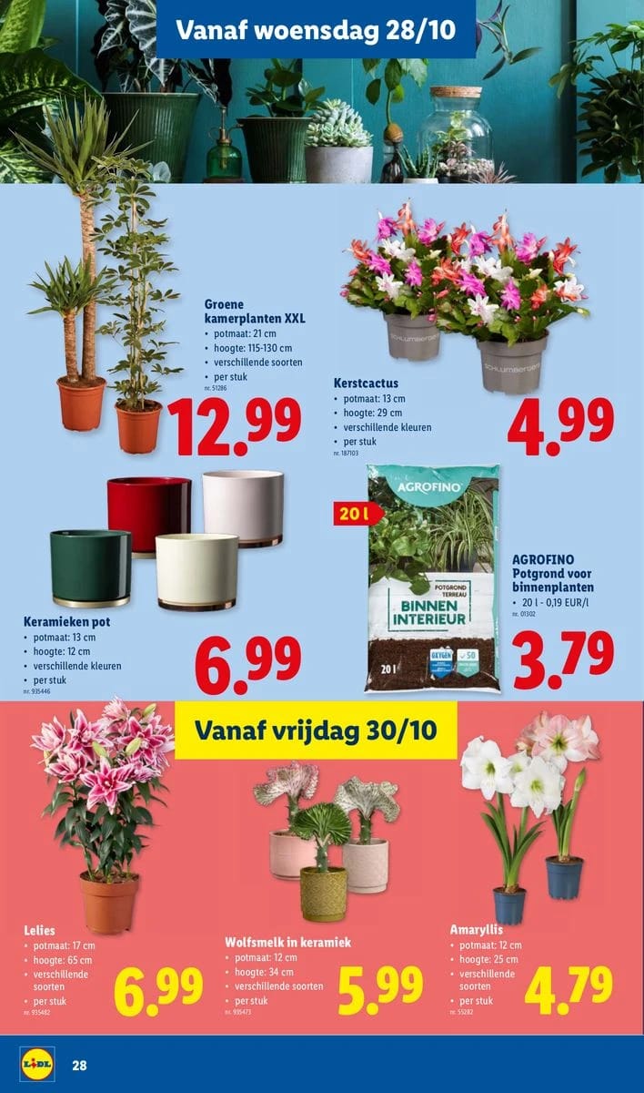 Folder Lidl, pagina 28 van 32