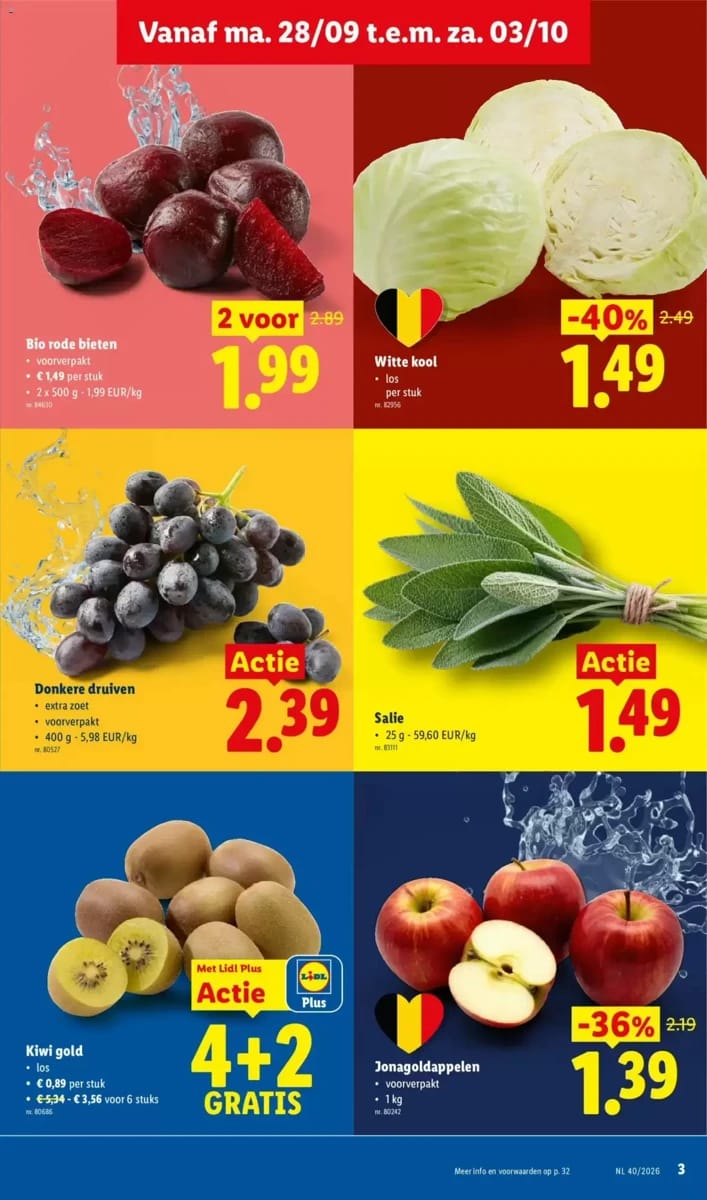 Folder Lidl, pagina 3 van 32