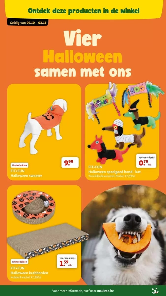 Folder Maxi Zoo, pagina 13 van 21