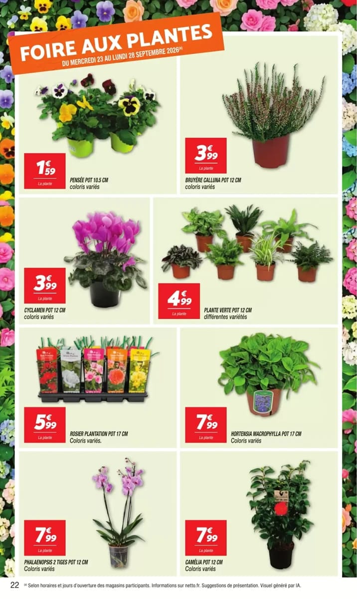 Folder Netto, pagina 22 van 24
