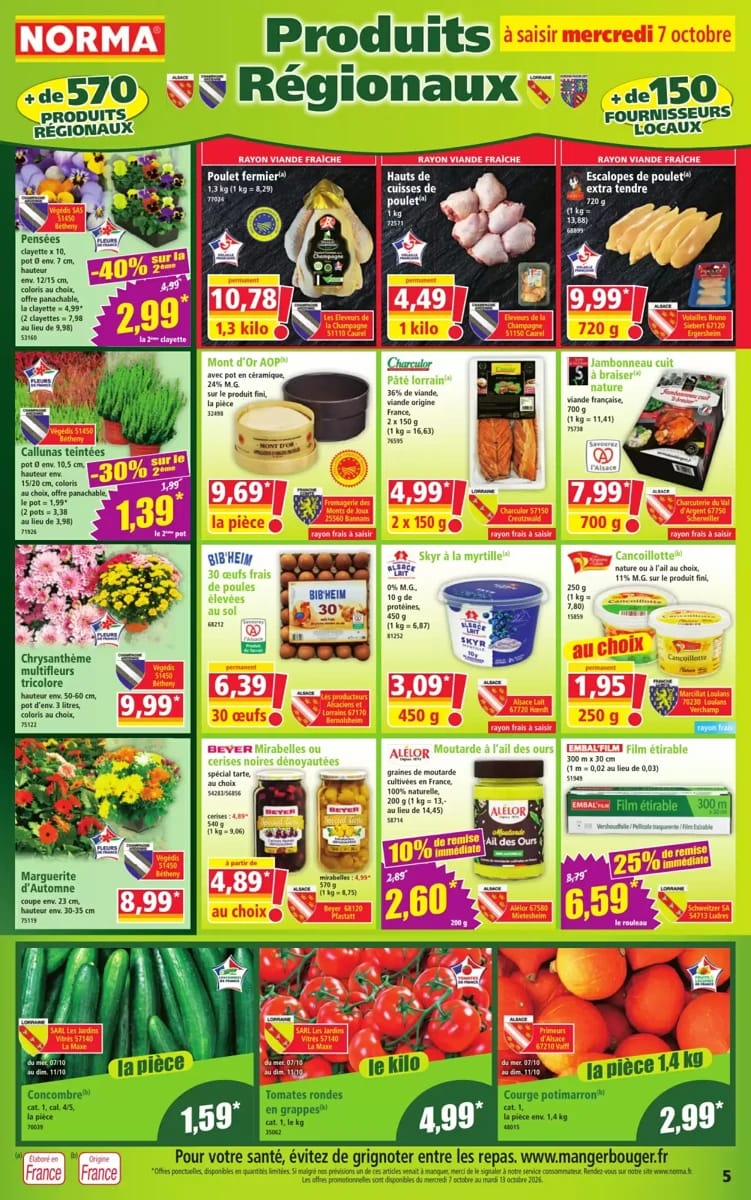 Folder Norma, pagina 5 van 14