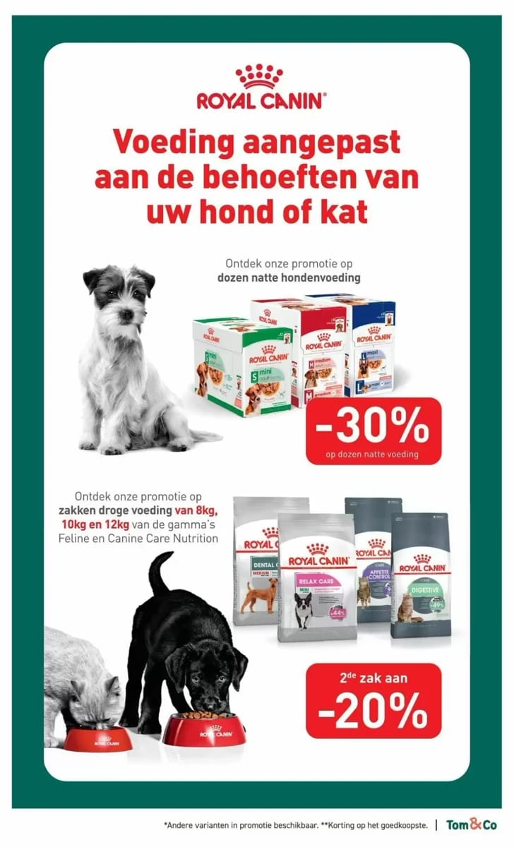 Folder Tom & Co, pagina 3 van 6
