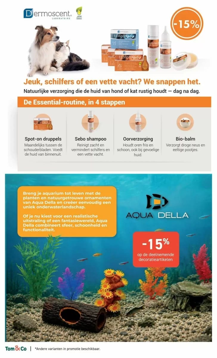 Folder Tom & Co, pagina 4 van 6