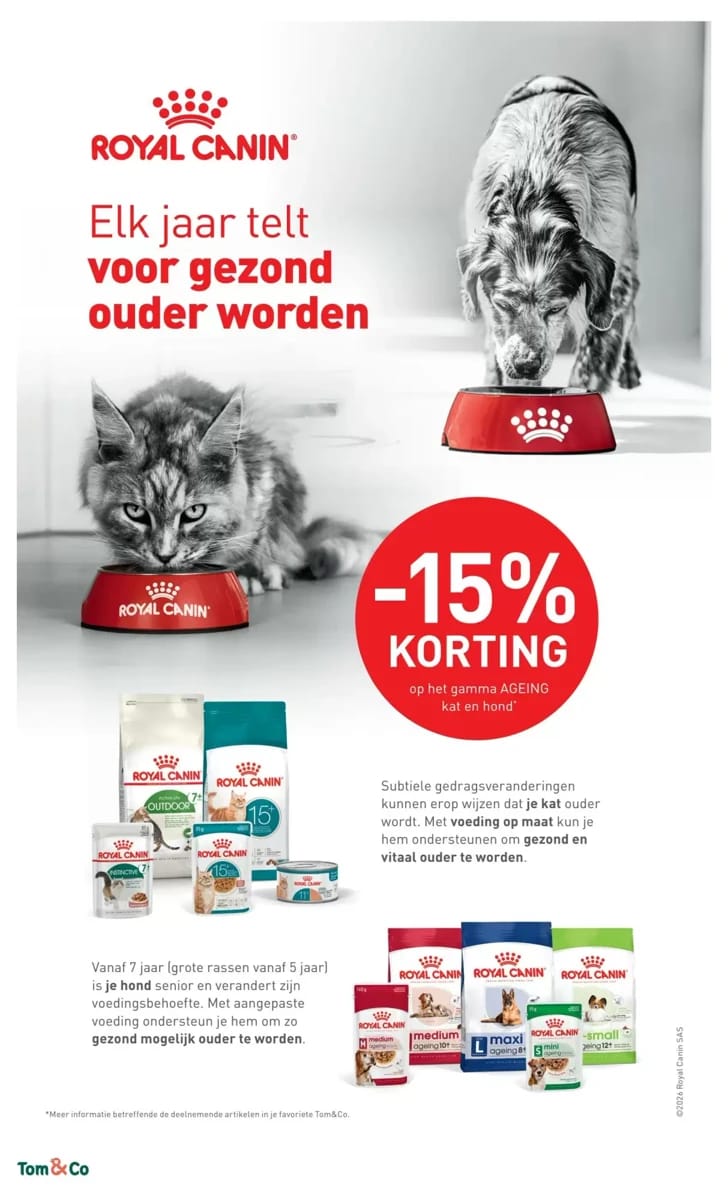 Folder Tom & Co, pagina 8 van 14