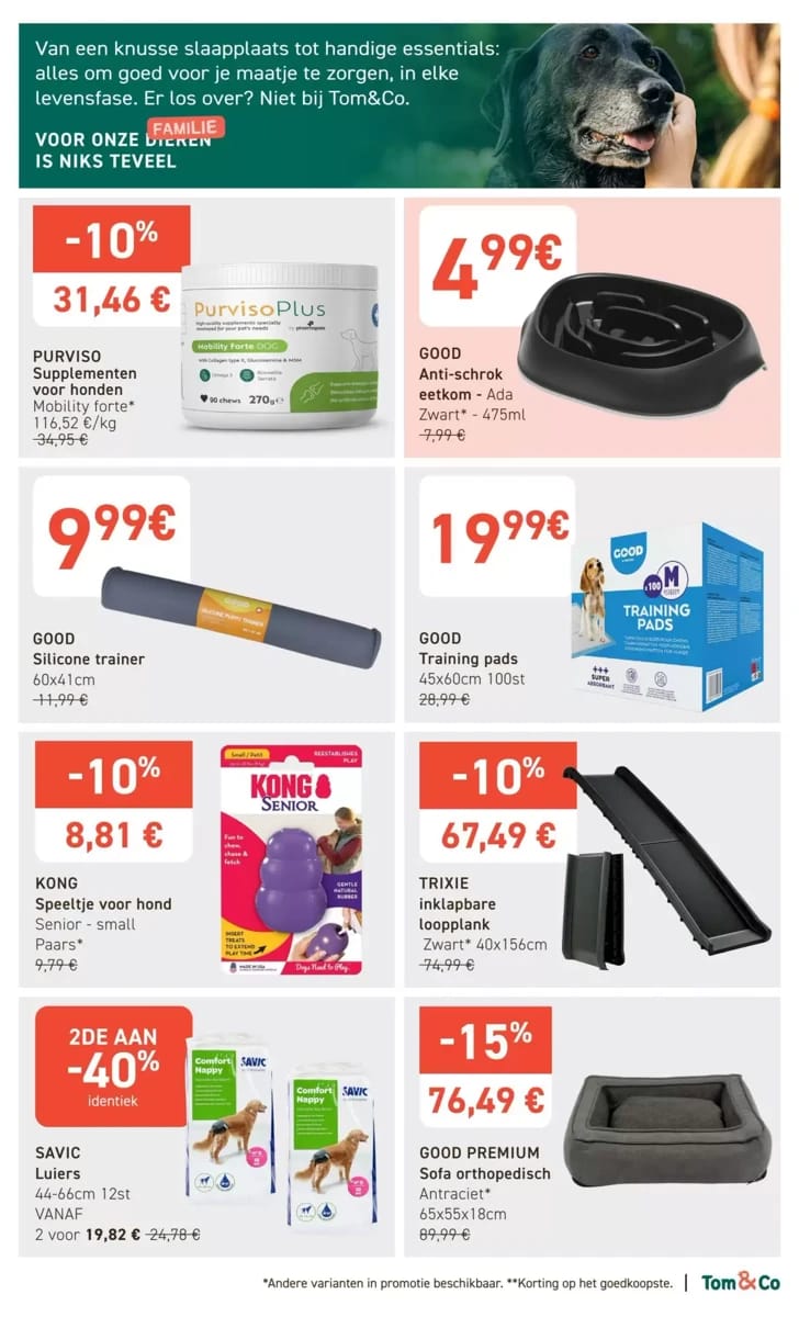 Folder Tom & Co, pagina 9 van 14