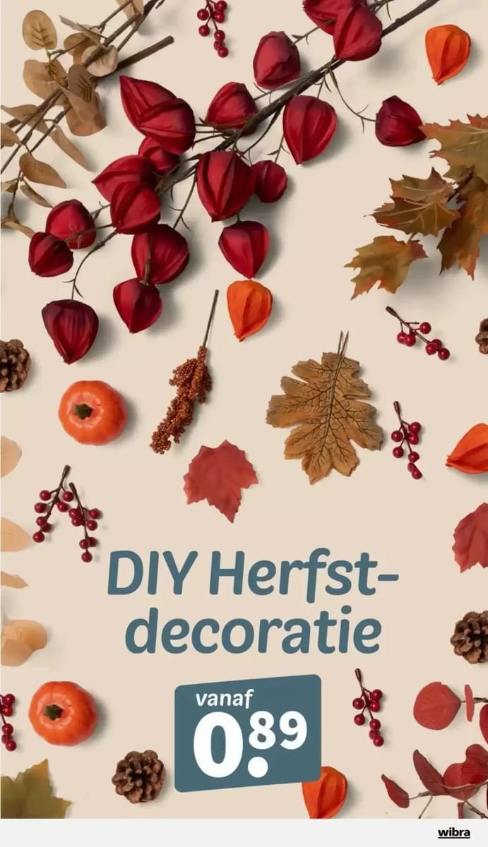 Folder Wibra, pagina 11 van 33