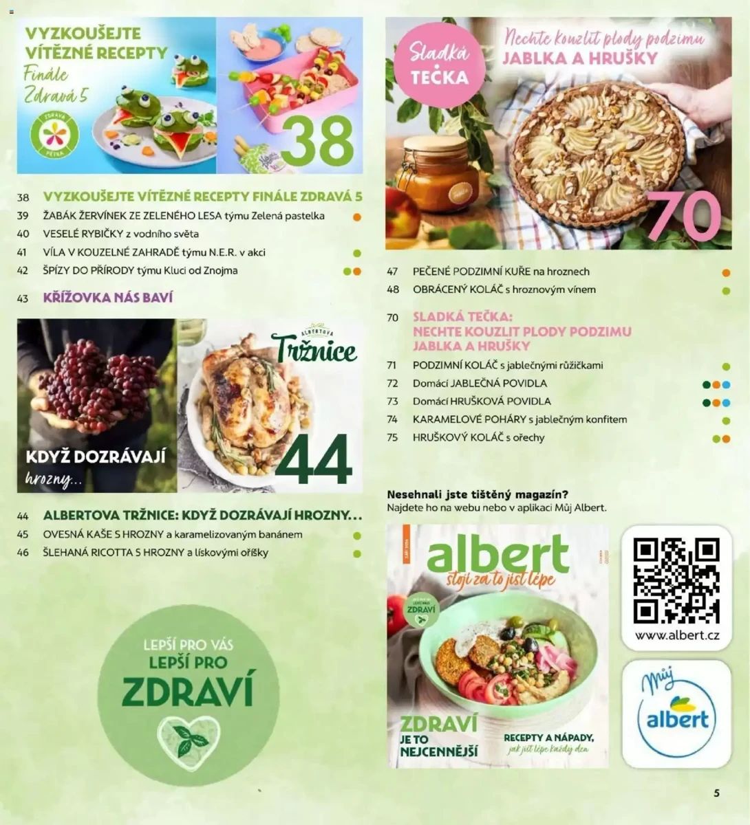 Leták Albert, strana 5 z 76