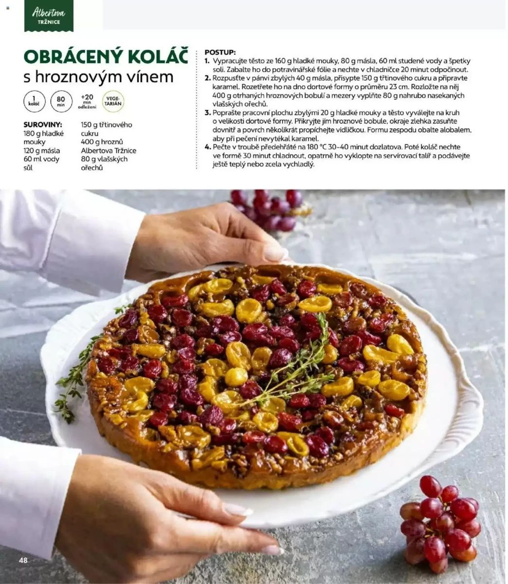Leták Albert, strana 48 z 76