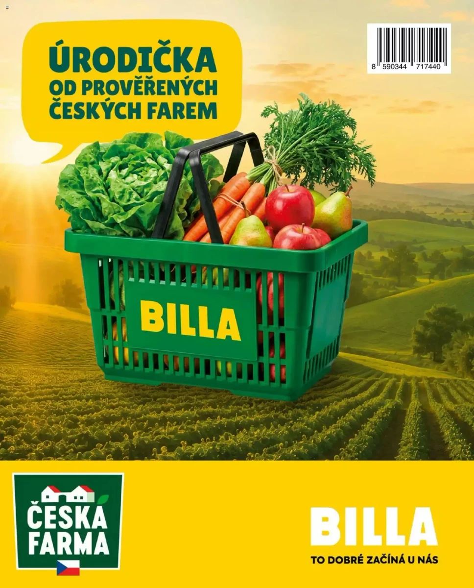 Leták Billa, strana 116 z 116