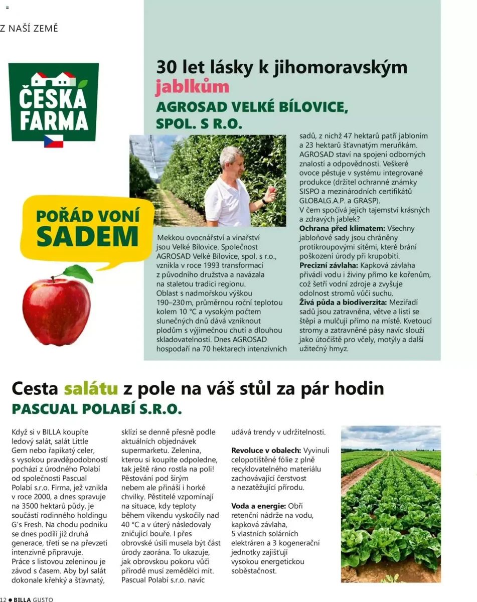 Leták Billa, strana 12 z 116