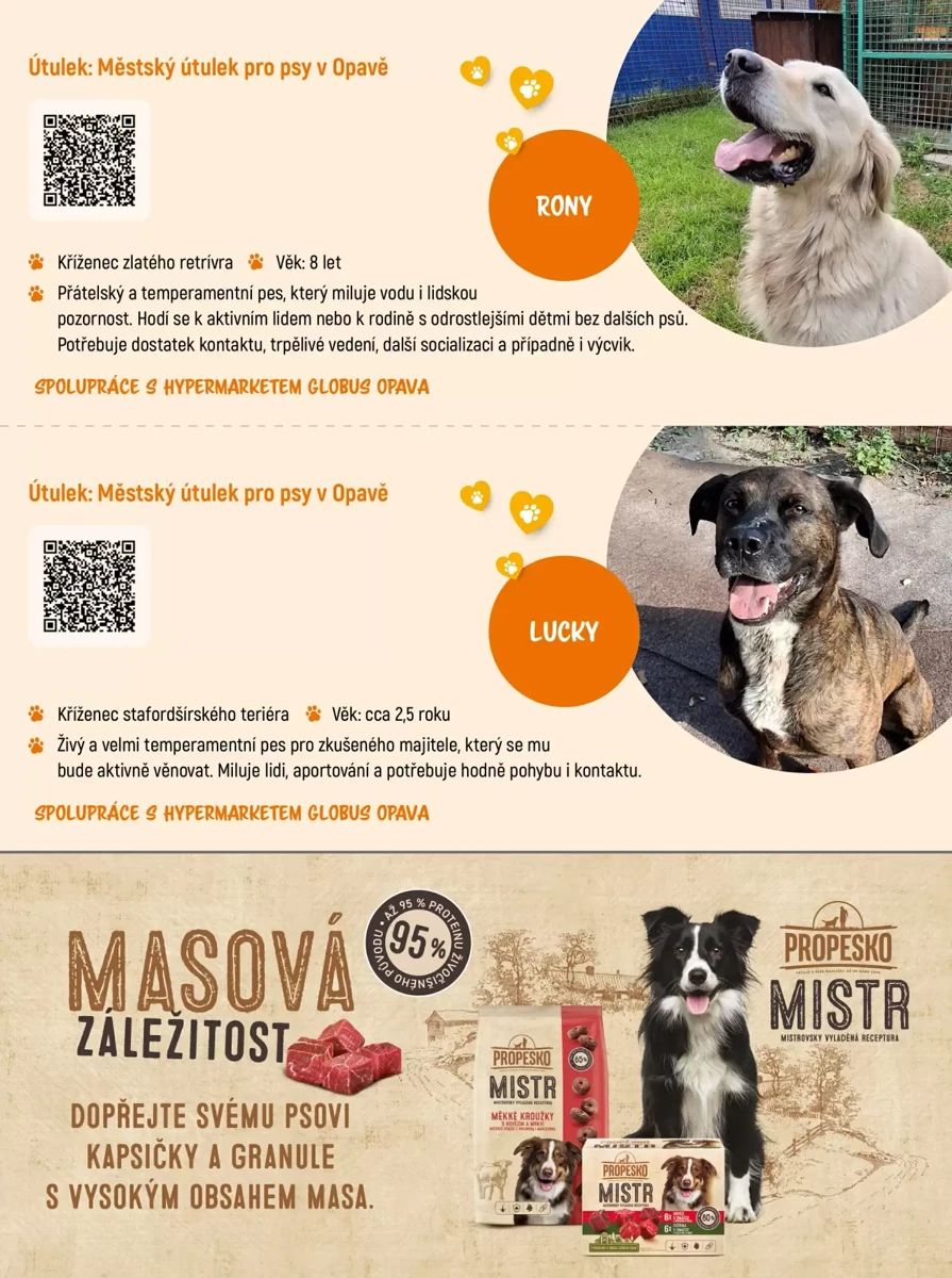 Leták Globus, strana 9 z 18