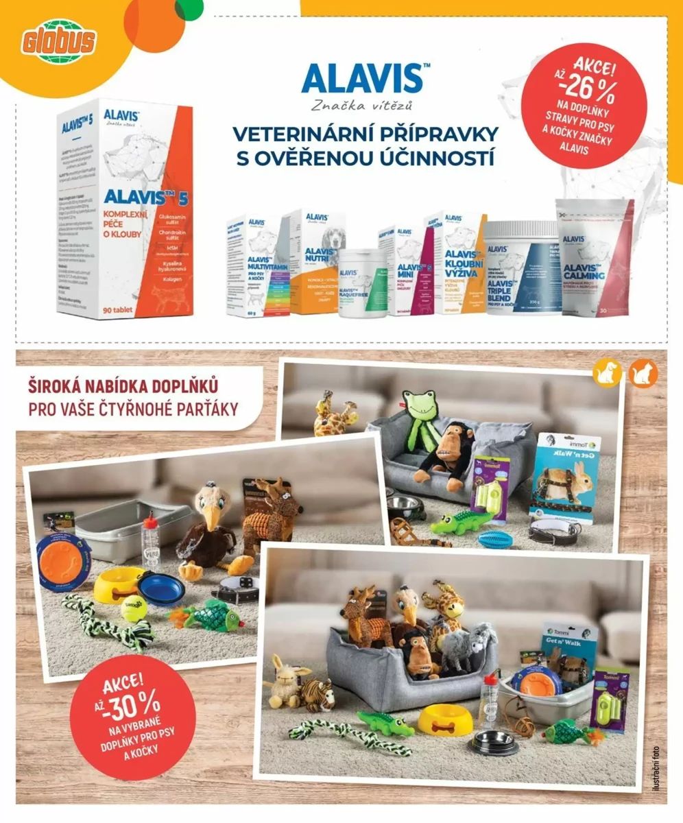 Leták Globus, strana 6 z 8