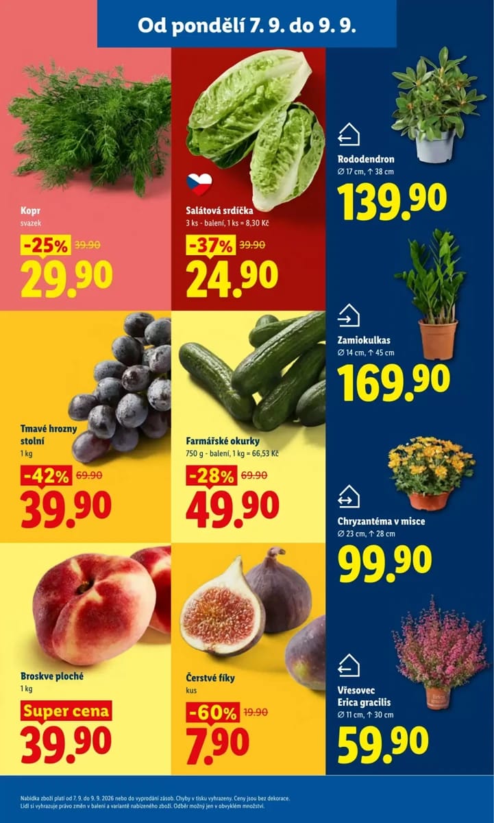 Leták Lidl, strana 15 z 49
