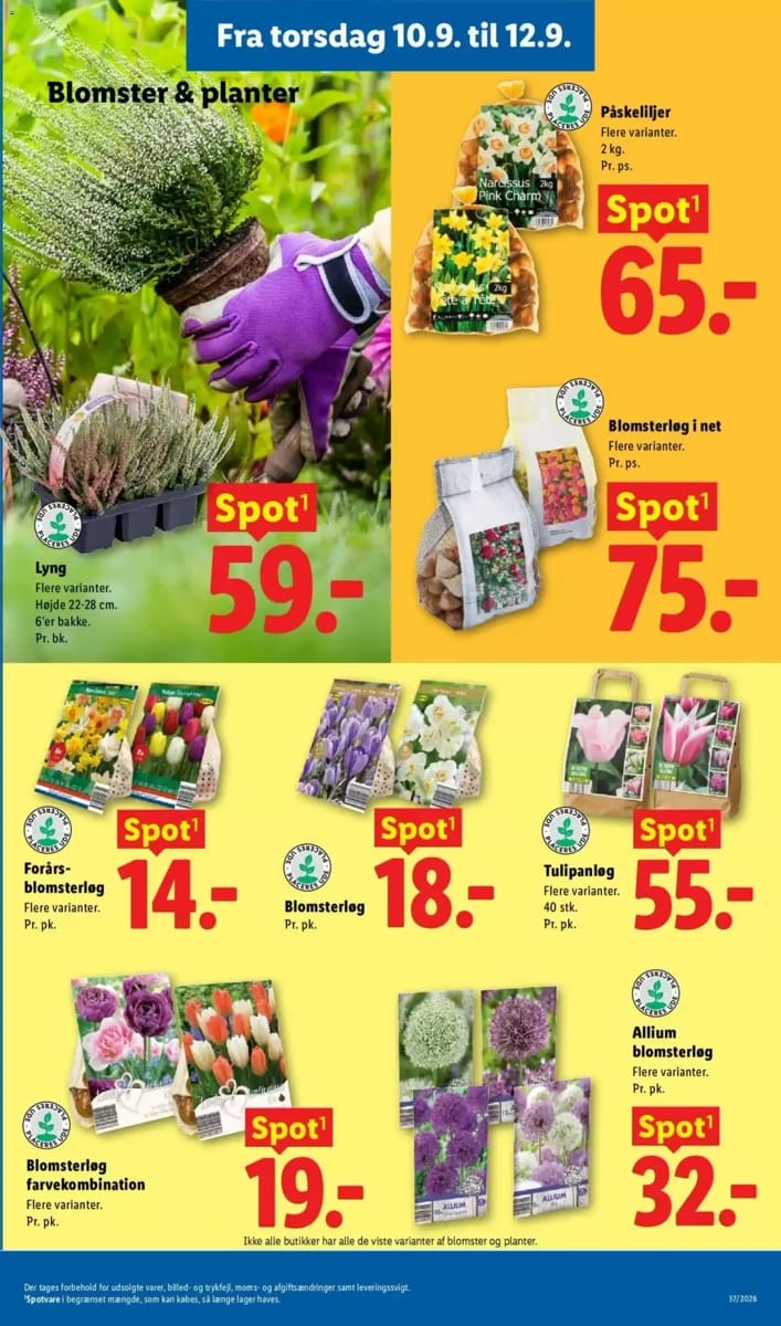 Tilbudsavis fra Lidl, side 32 af 37