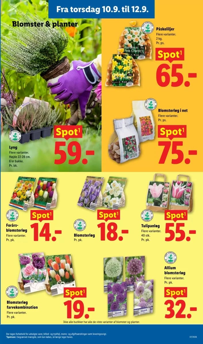 Tilbudsavis fra Lidl, side 11 af 38