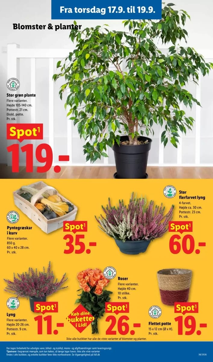 Tilbudsavis fra Lidl, side 25 af 38