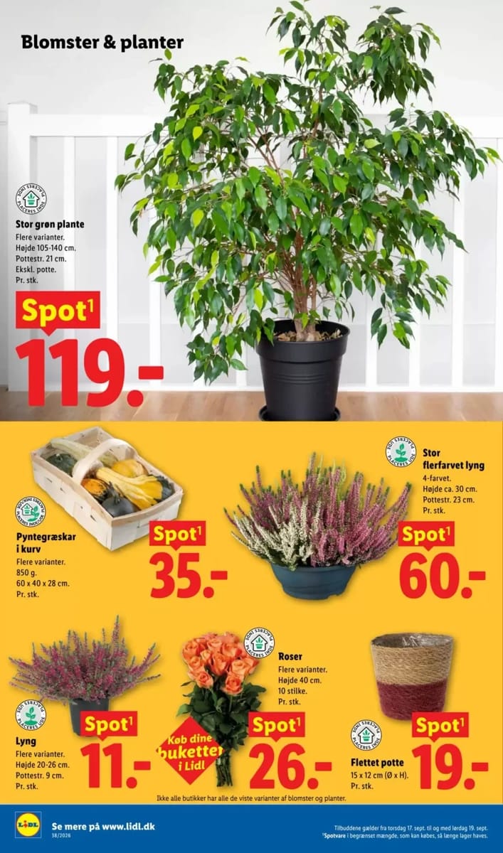 Tilbudsavis fra Lidl, side 32 af 38