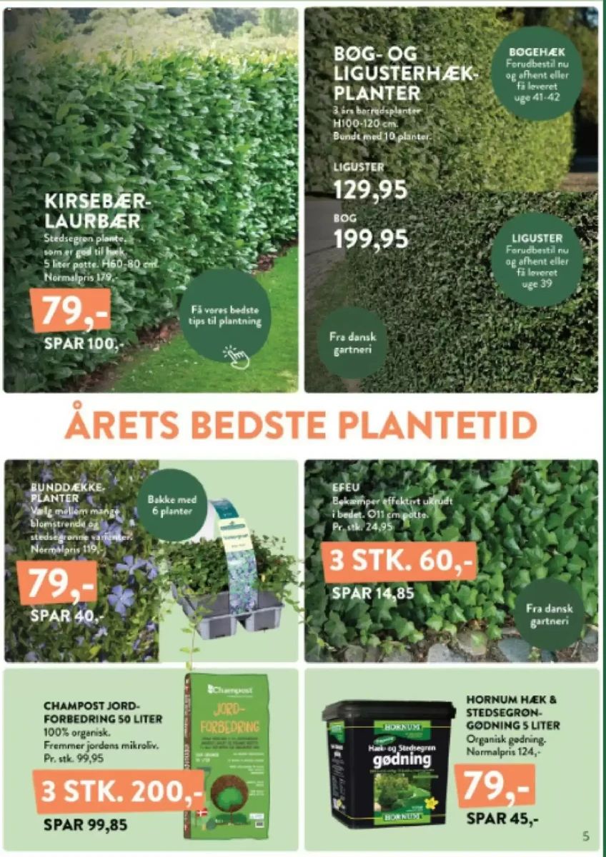 Tilbudsavis fra Plantorama, side 5 af 10