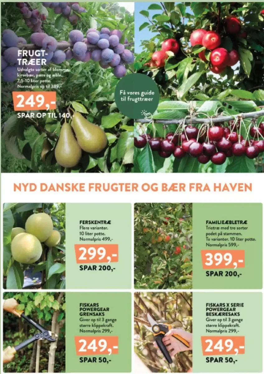 Tilbudsavis fra Plantorama, side 6 af 10