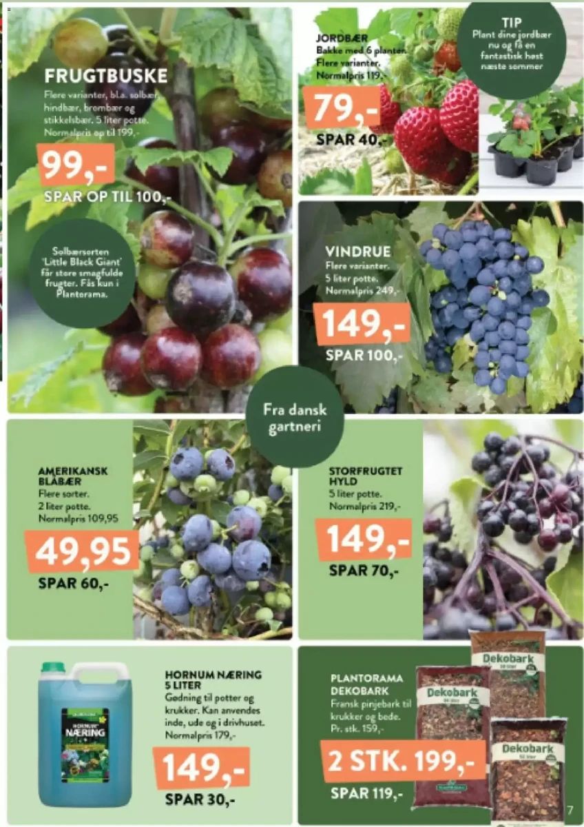 Tilbudsavis fra Plantorama, side 7 af 10