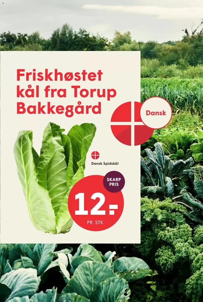 Tilbudsavis fra SPAR, side 10 af 31