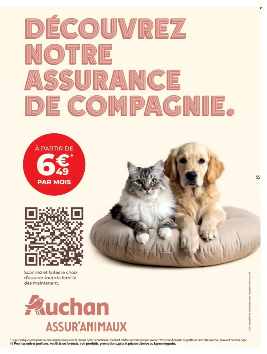 Catalogue Auchan, page 55 sur 76