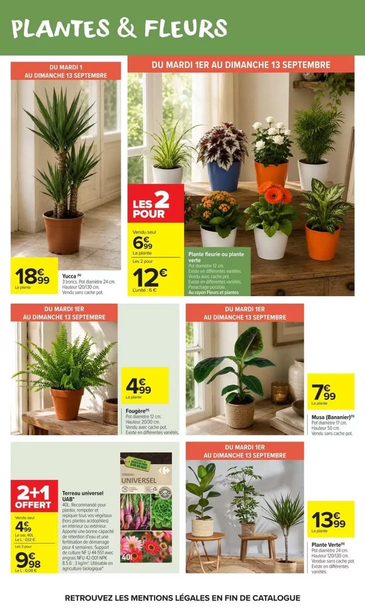 Catalogue Carrefour Market, page 53 sur 59