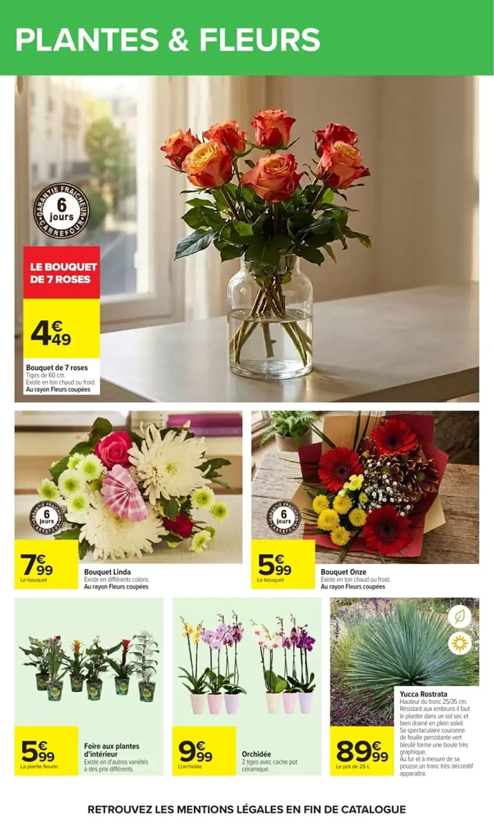 Catalogue Carrefour, page 82 sur 94