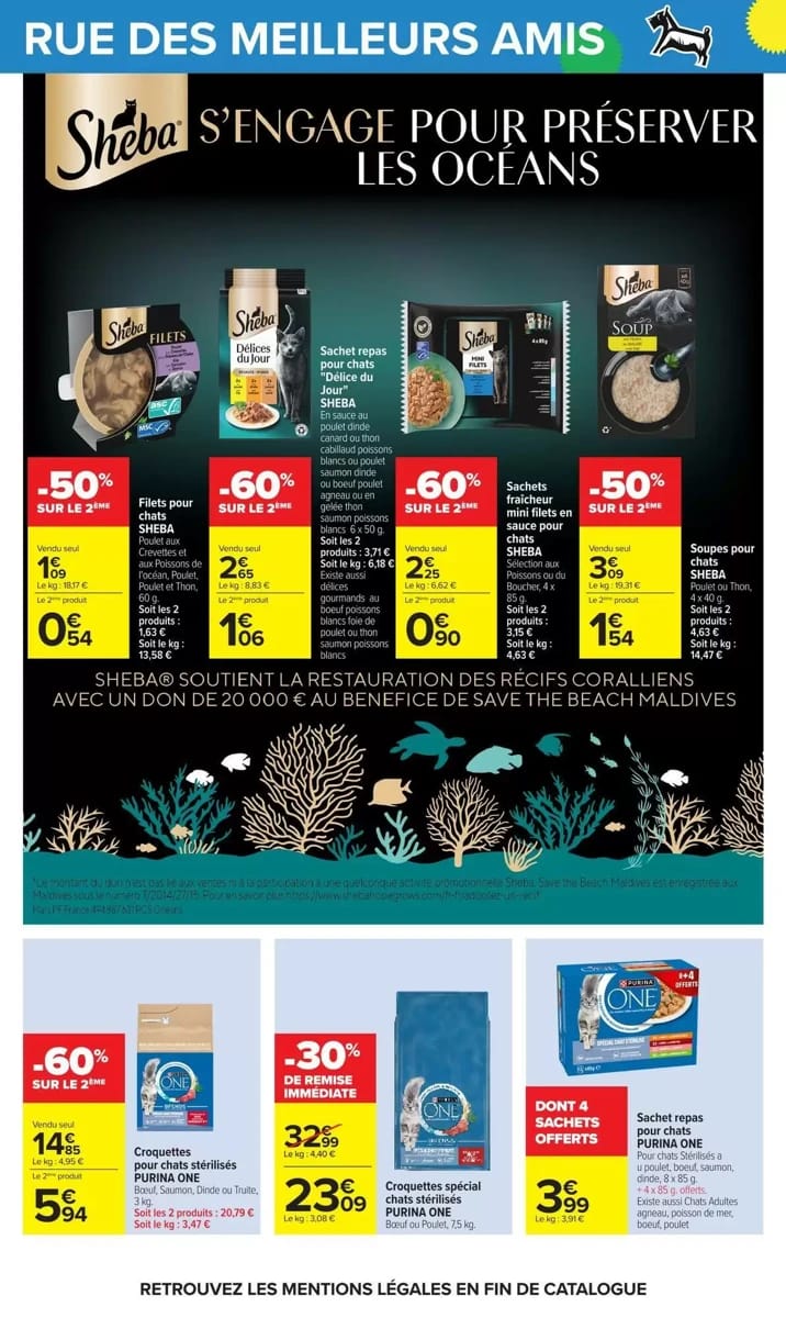Catalogue Carrefour, page 62 sur 101