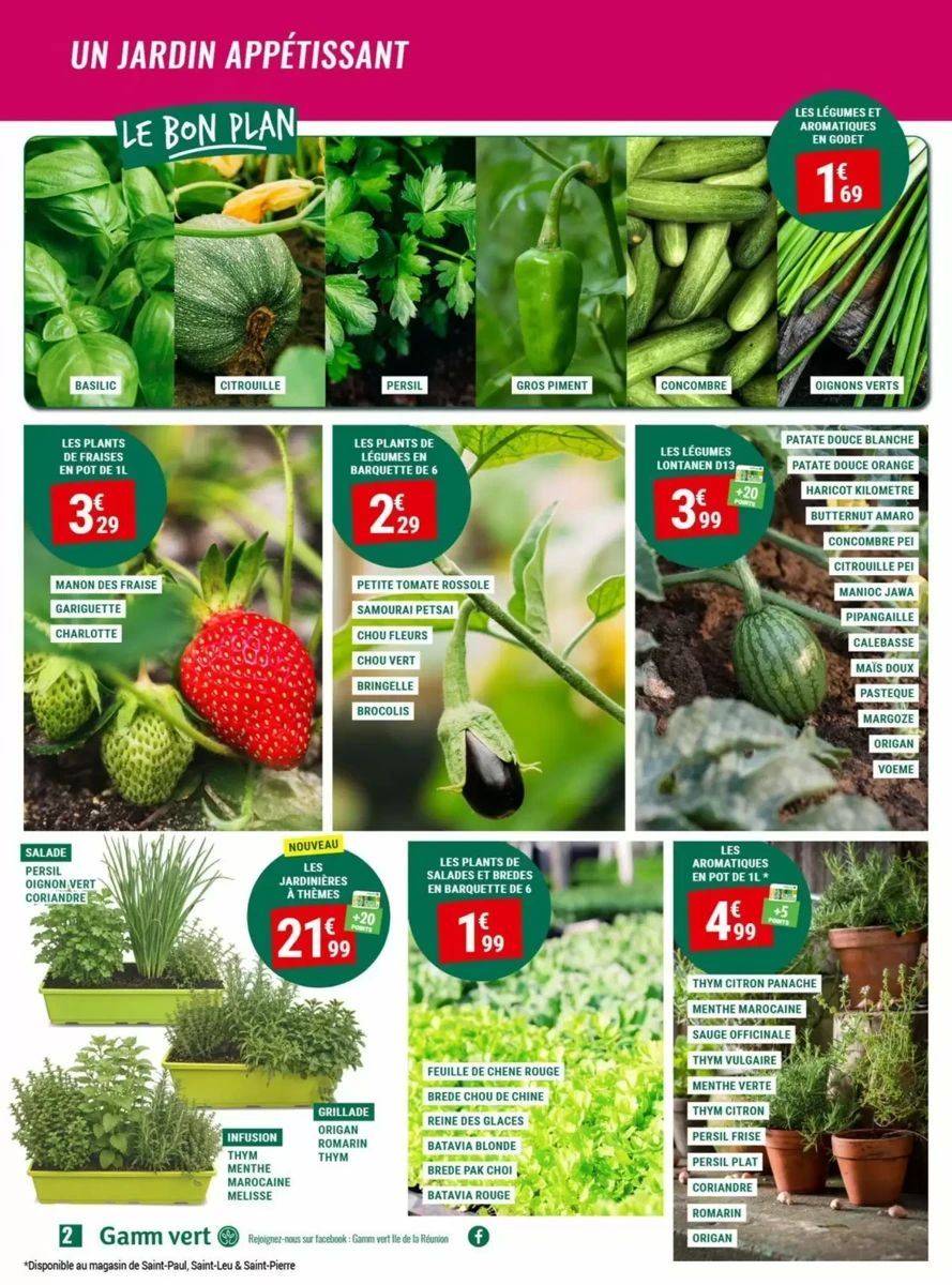 Catalogue Gamm Vert, page 2 sur 8