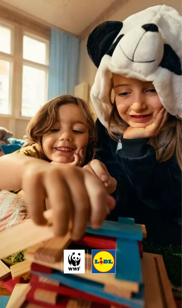 Catalogue Lidl, page 33 sur 61