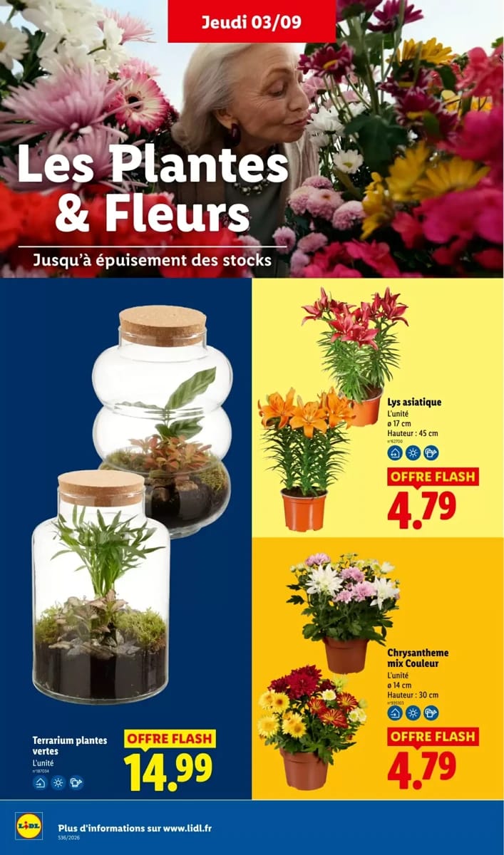 Catalogue Lidl, page 34 sur 61