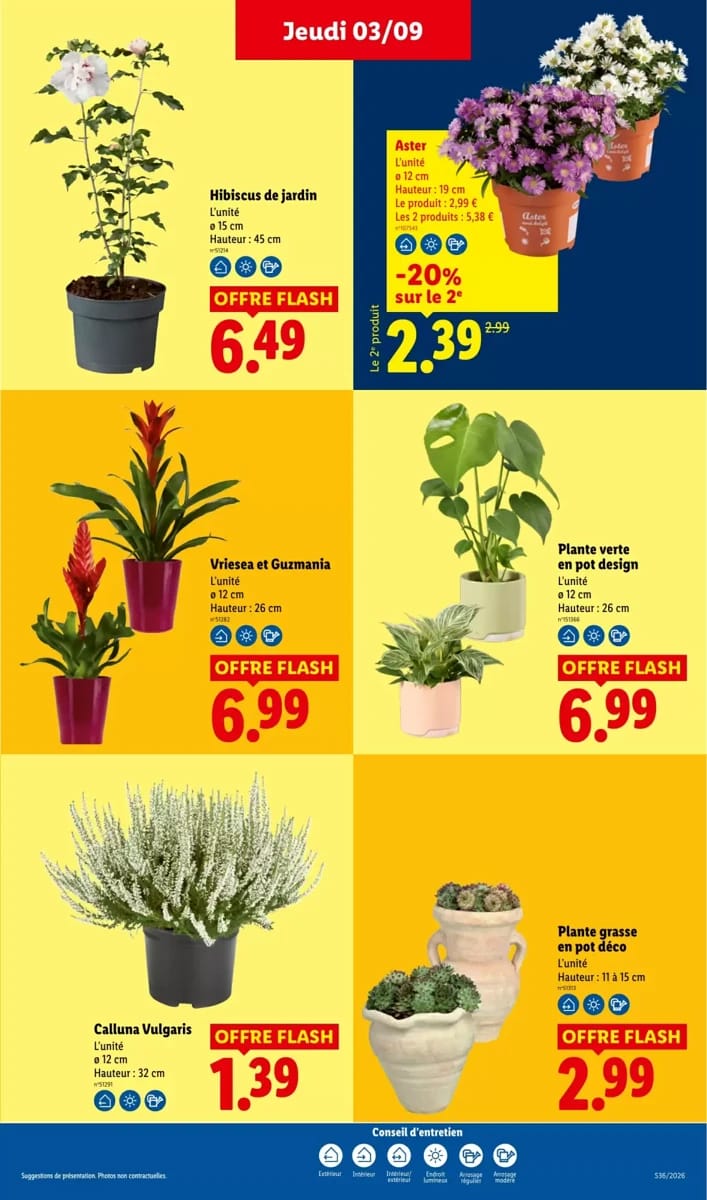 Catalogue Lidl, page 35 sur 61