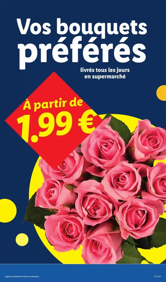 Catalogue Lidl, page 47 sur 54