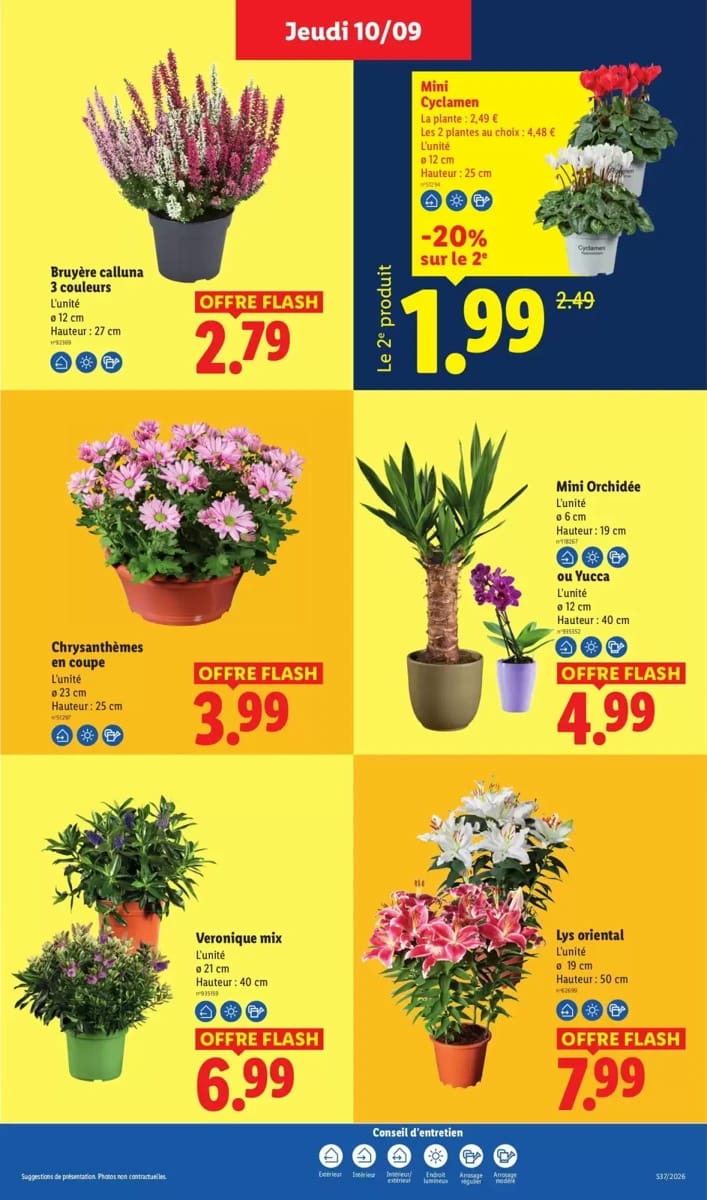 Catalogue Lidl, page 49 sur 54