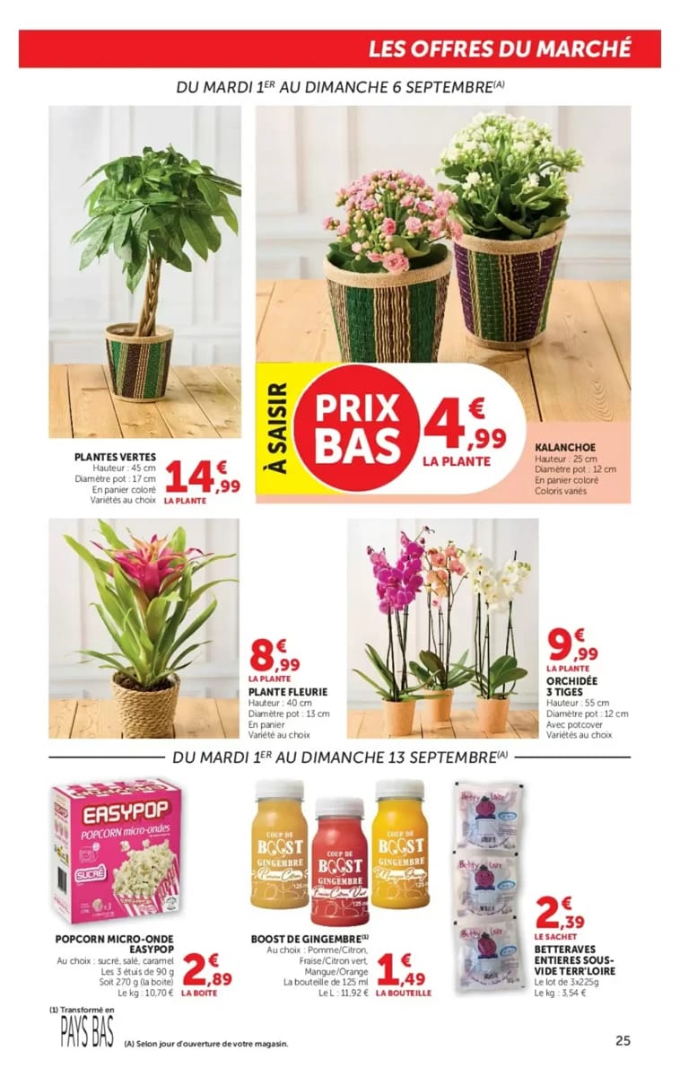 Catalogue Super U, page 25 sur 32