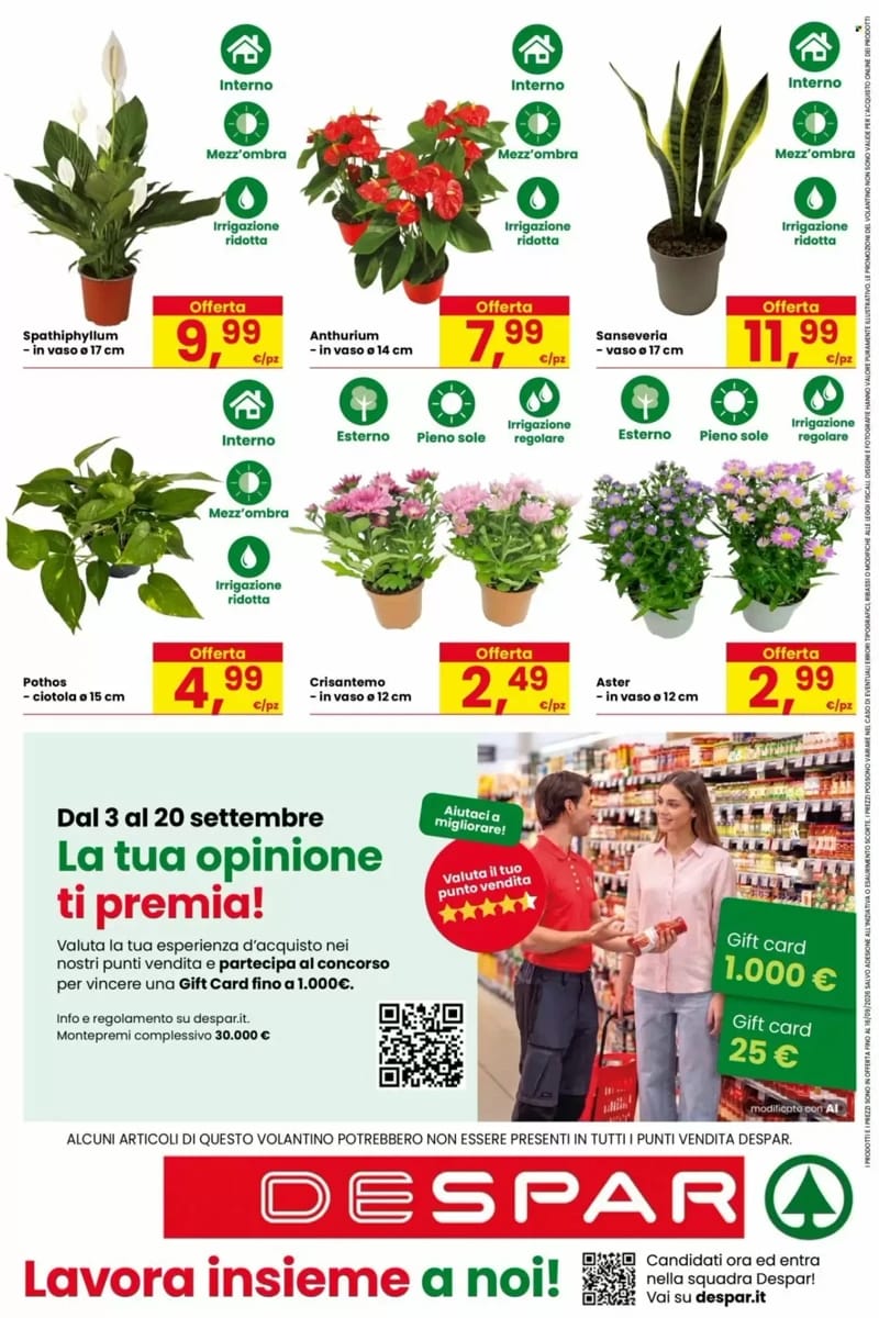 Volantino Despar, pagina 16 di 16