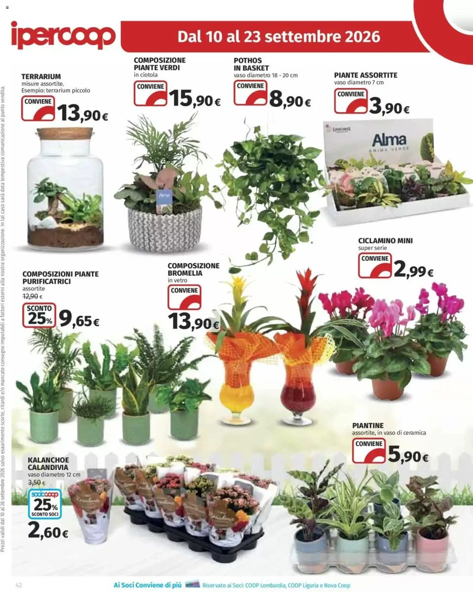 Volantino Ipercoop, pagina 42 di 50
