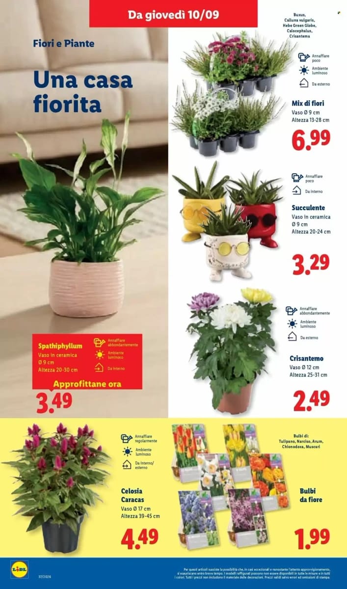 Volantino Lidl, pagina 46 di 58